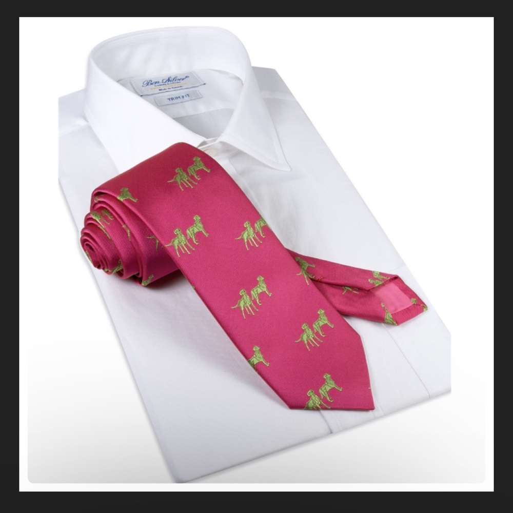 Ben Silver Charleston Silk Woven Lab Motif Tie in Magenta